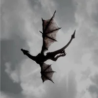 The four Dragon king