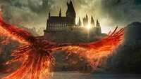 The Wizarding World