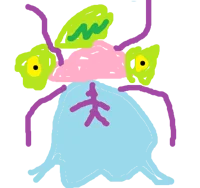 bemeebeth
