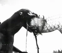 godzilla bite ghidor