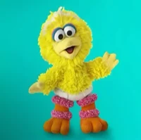 Baby Big Bird