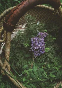 DARK -Second Chance-