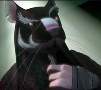 Splinter - TMNT 2012