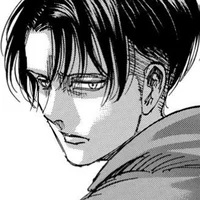 Levi Ackerman BR