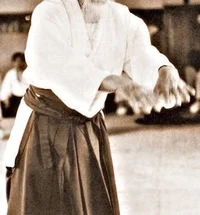 Aikido Sensei