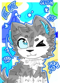 Slush Star