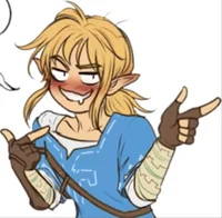 Drunk Link BOTW