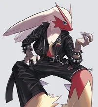 Blaziken servant