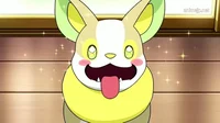 Yamper