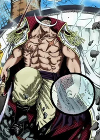 Whitebeard pirates 