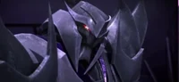 Megatron TFP