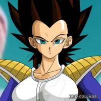 Vegeta - Fem