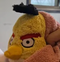 Pavin Plushie family