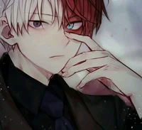 Shoto Todoroki