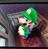 Luigi