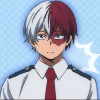 Shoto Todoroki