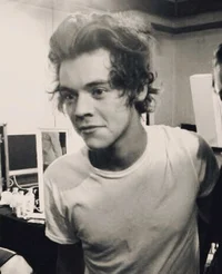 harry styles 
