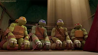 Ninja Turtles 