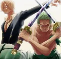 Sanji and Zoro