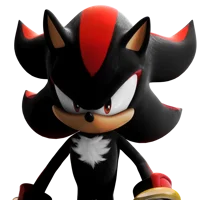 Shadow The Hedgehog