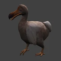 dodo and dodobominat
