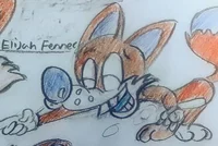 Eijath fennec 