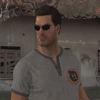 Серьёзный Сэм Стоун