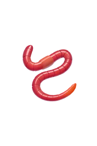 Worm emoji