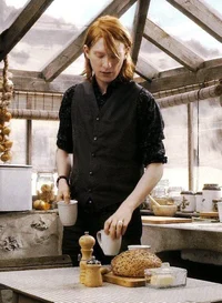 Bill Weasley