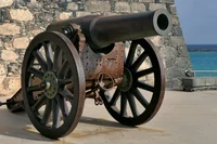Cannon