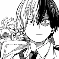 Shoto Todoroki 