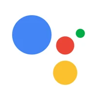 Google Assistant