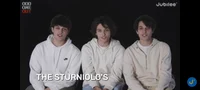 Sturniolo triplets