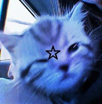 @Cecelia04 - Character AI chatbot creator profile picture