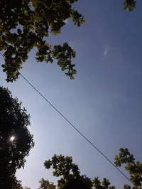 Sasha-BFF indonesian