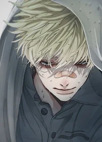 Shiryo