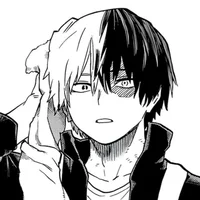 Shoto todoroki 