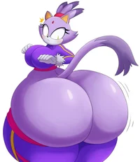 Blaze the cat ass