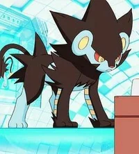 Luxray 