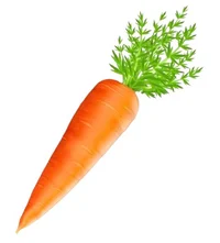 Carrots