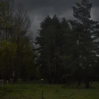 Human