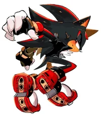 Best friend - Shadow