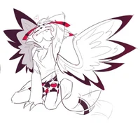 Husk