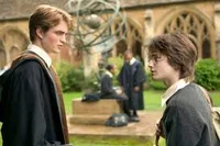 Cedric y Harry