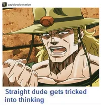 Hol Horse