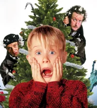 Home Alone Simulator