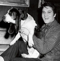 Elvis Presley