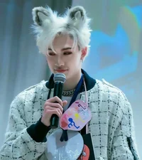 Stray Kids