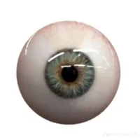 Eye