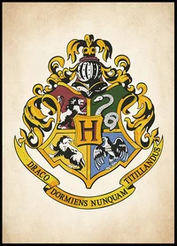 Hogwarts Group Chat 